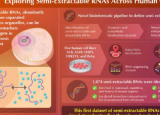 揭开人类细胞系半提取RNA的神秘面纱