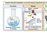 研究人员找到了逆转芬太尼影响的新方法