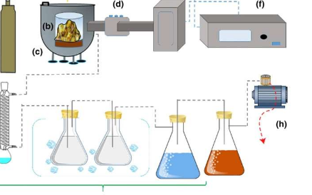 使用菠萝皮废物中的活性生物炭构建高性能电化学传感器