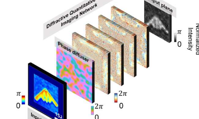 衍射网络通过随机扩散器实现定量相位成像
