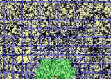 物理学家在蒙特卡罗计算机模拟方面取得突破