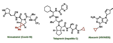 新的简单且易于使用的方法在药物中创建了效力增强的结构