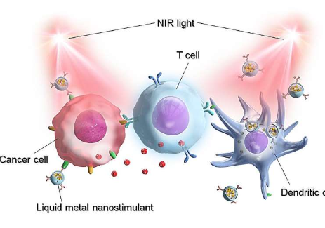 合成用于癌症光免疫治疗的新型液态金属纳米粒子