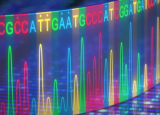 新资源可比较微生物16SrRNA和鸟枪法宏基因组数据