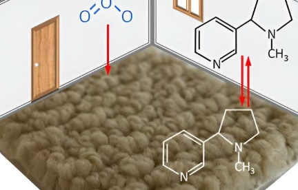 地毯被发现能顽固地吸附烟草烟雾中的污染物