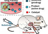 纳米酶驱动肿瘤特异性药物输送同时最大限度地减少毒性