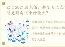 欧拉2021朋克猫，超复古又豪华 欧拉新车朋克猫卖这个价能火?