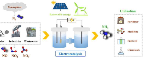 电催化氨合成最新进展