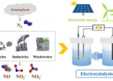 电催化氨合成最新进展