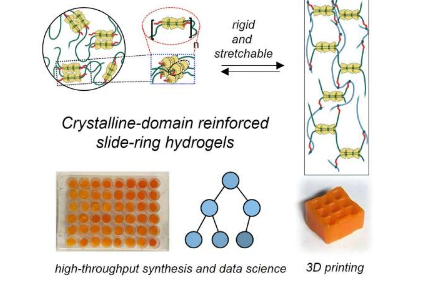 化学家开发出坚韧但可拉伸凝胶的独特设计
