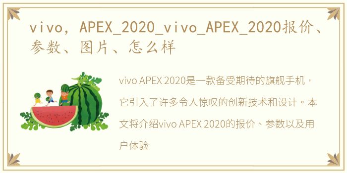 vivo，APEX_2020_vivo_APEX_2020报价、参数、图片、怎么样