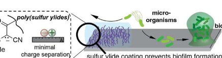 两性离子聚合硫叶立德新一代防污杀菌材料