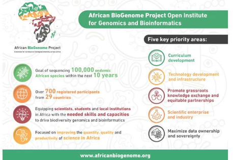 加速非洲生物多样性基因组学和生物信息学知识交流