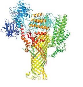 神秘的微生物蛋白家族劫持作物的细胞管道