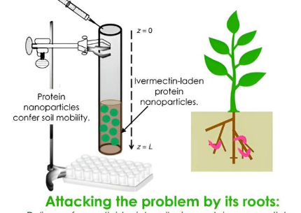 由植物病毒制成的纳米颗粒可能成为农民防治害虫的新盟友