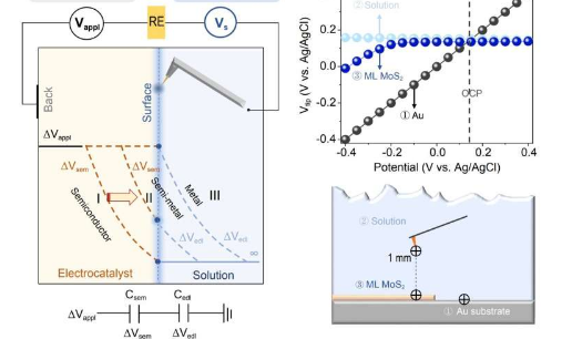 电压如何驱动非金属催化剂进行电催化反应