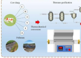 牛粪转化为合成气我们如何优化流程