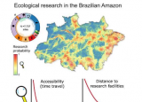 研究显示巴西亚马逊地区尚未进行生态研究