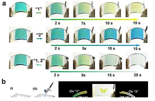 用于信息显示的自供电柔性多色电致变色器件