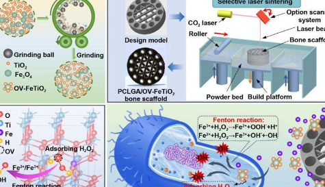 氧空位促进芬顿反应一种对抗骨支架细菌感染的新方法