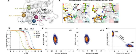 研究小组开发生物技术工艺来降解塑料