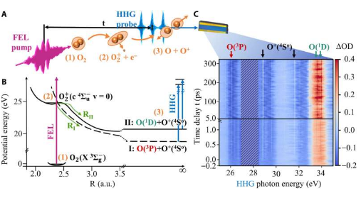 结合极紫外光源解决氧分子中的量子力学解离机制