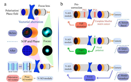 矢量自适应光学器件校正偏振和相位