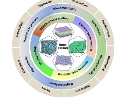 研究有前景的异质结构增材制造的进展及其生物医学应用