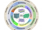 研究有前景的异质结构增材制造的进展及其生物医学应用