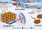 新型矿物压电催化剂为土壤修复提供创新方法