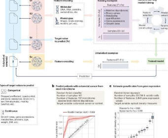 审查审查微生物学家的机器学习概念