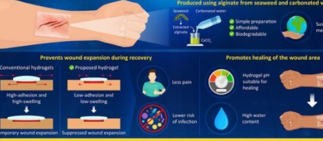用于治疗皮肤伤口的革命性海藻和碳酸水水凝胶