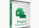 MicrosoftProject2021专业版