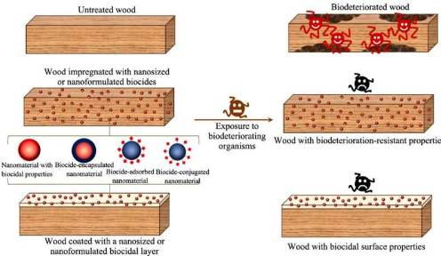 用于制造抗生物劣化木材的纳米技术方法