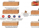 用于制造抗生物劣化木材的纳米技术方法