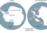 南极章鱼DNA揭示冰盖崩塌比想象的更近