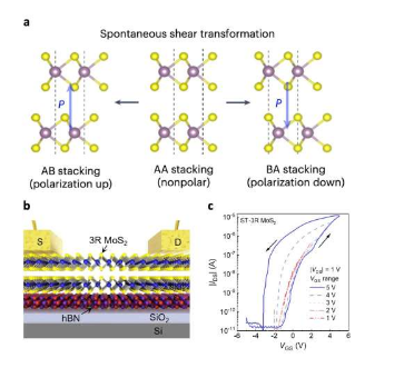 团队开发基于极性可切换二硫化钼的滑动铁电晶体管