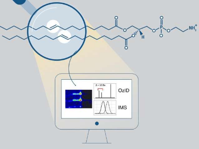 LipidOz新软件能够识别脂质双键位置