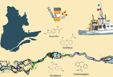 药物污染了圣劳伦斯河对水生生物可能构成风险