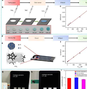 用于过氧化氢检测的创新便携式传感器
