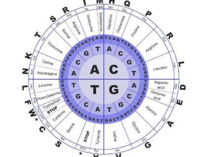 研究人员使用超级计算机来确定“生命分子”是否可以在适当的条件下自然形成