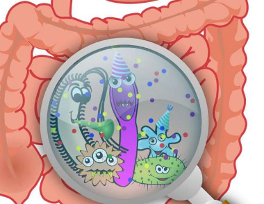 常见食品防腐剂对肠道微生物组有意想不到的影响