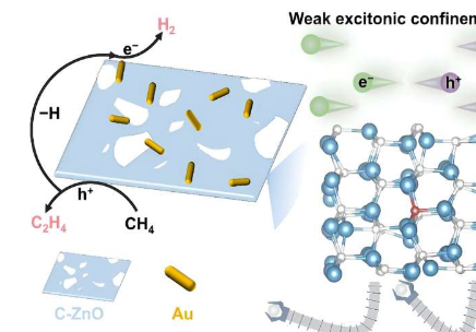 碳掺杂 ZnO/Au 催化剂上甲烷光催化非氧化偶联生成乙烯