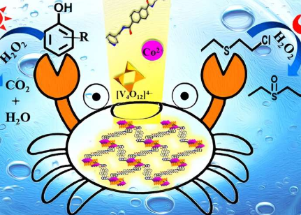 科学家设计双功能催化剂解决环境污染问题