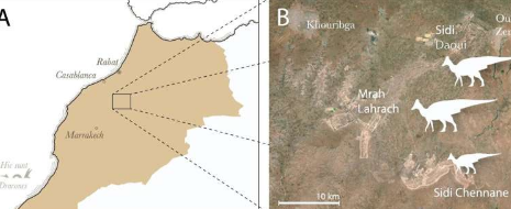 摩洛哥发现鸭嘴恐龙专家解开它们如何到达那里的谜团