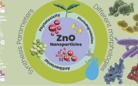 研究描述了氧化锌纳米颗粒灭活多重耐药细菌的策略