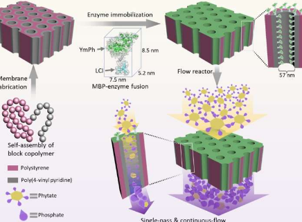 研究人员创造纳米膜以提高化学生产中的反应速率