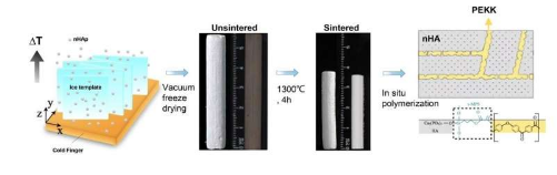 科学家们受皮质骨启发制造出兼具高强度和生物活性的复合材料