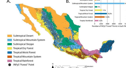 研究人员绘制了墨西哥的森林范围图