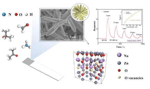自组装Na掺杂氧化锌用于检测低浓度肺癌生物标志物VOC